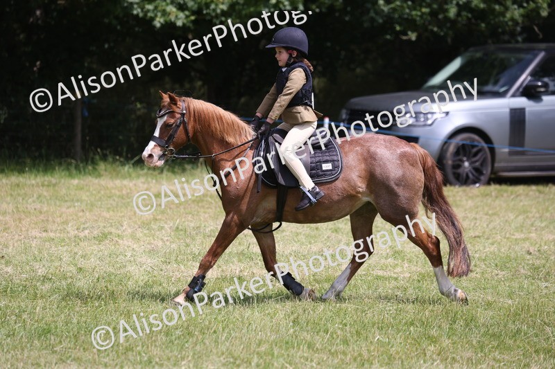 20260614-2009 - Class 21 - Novice Working Hunter Pony