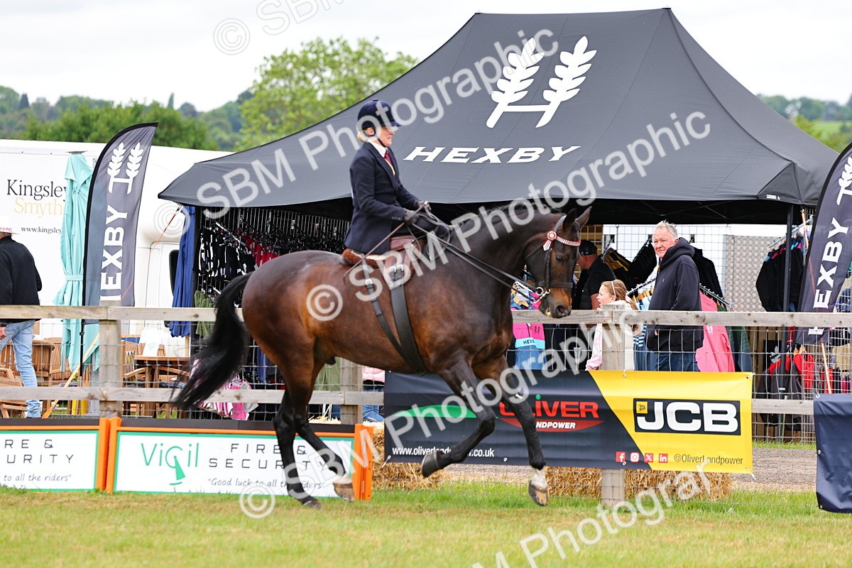 SBM_02899 - Class 9-11 Side Saddle including LIHS Rising Star Ladies Show Horse