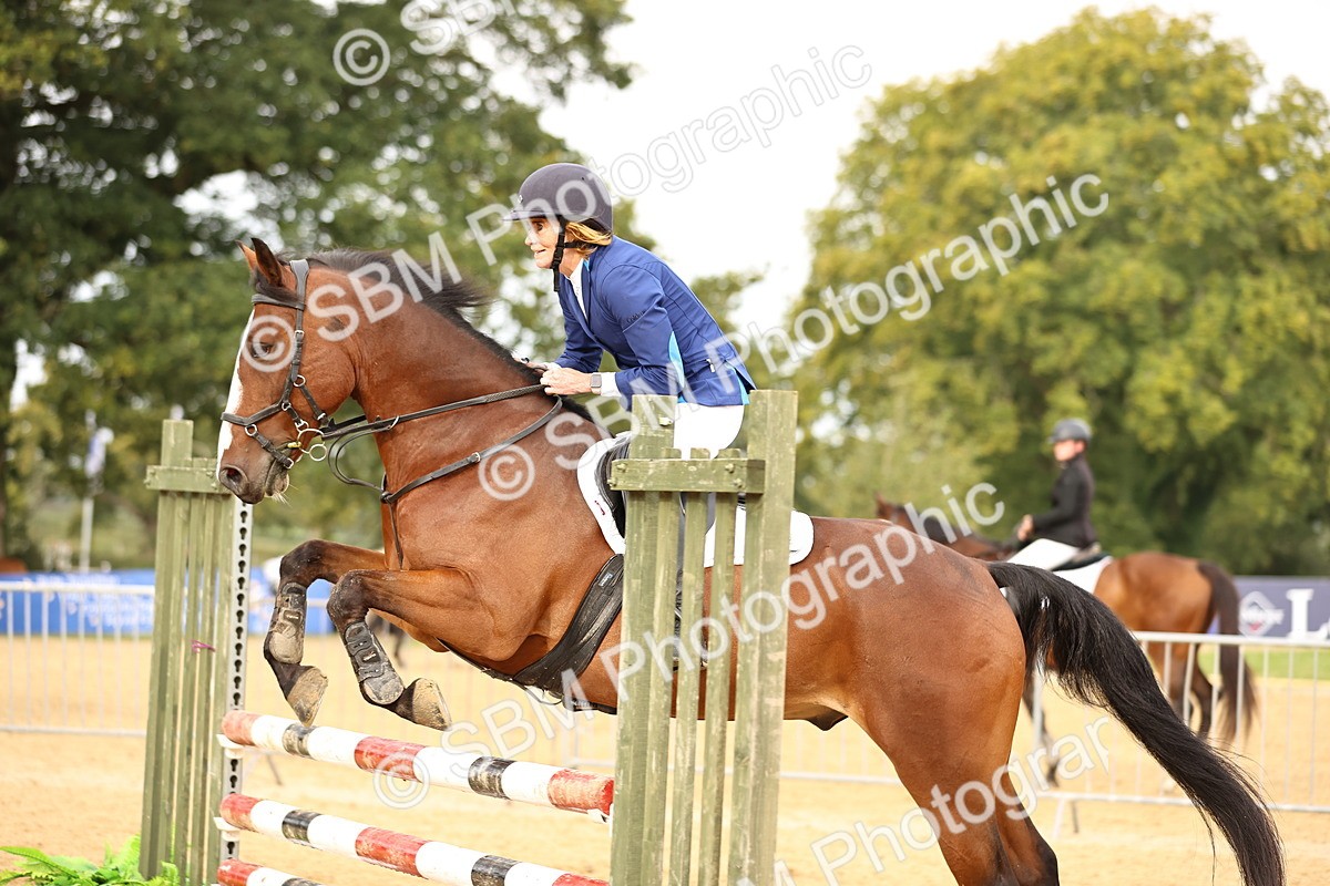 SBM_58241 - J41 - Grand Tour Horse & Pony 95cm