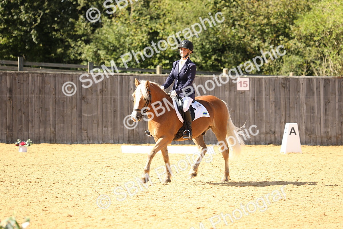 SBM_22383 - D17 - Grand Tour Championship - Novice 27