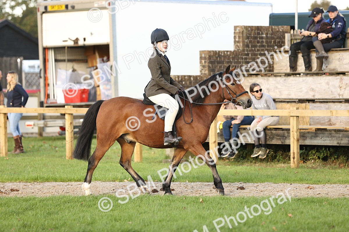 SBM_29532 - S7 - Novice & Newcomers Ridden Pony