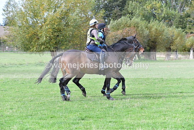 WJ5_0332 - Time 13:25 to 13:58