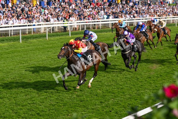 170524-Race 7-Jubilee Walk-8764 - Race 7 5.20pm Irish Thoroughbred Marketing Handicap