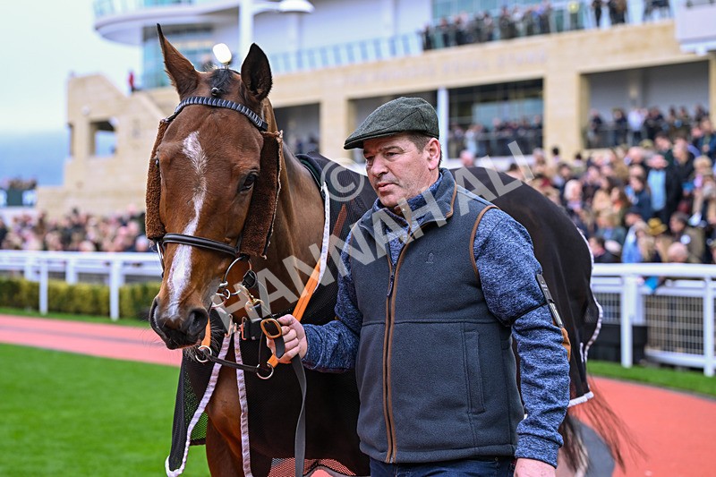151125-Race 2-Cheerful Chap-2438 - Race 2