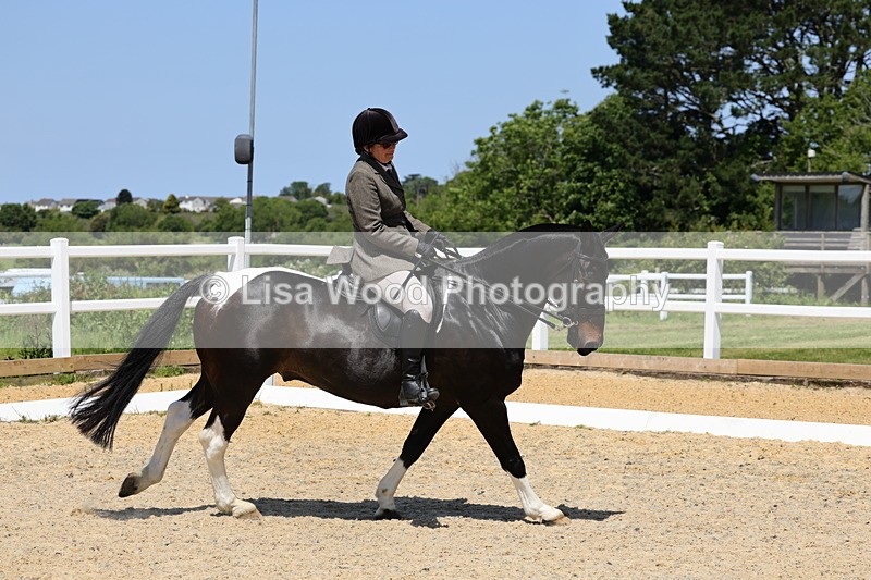 1X9A1500 - Class 10: Ridden Veteran
