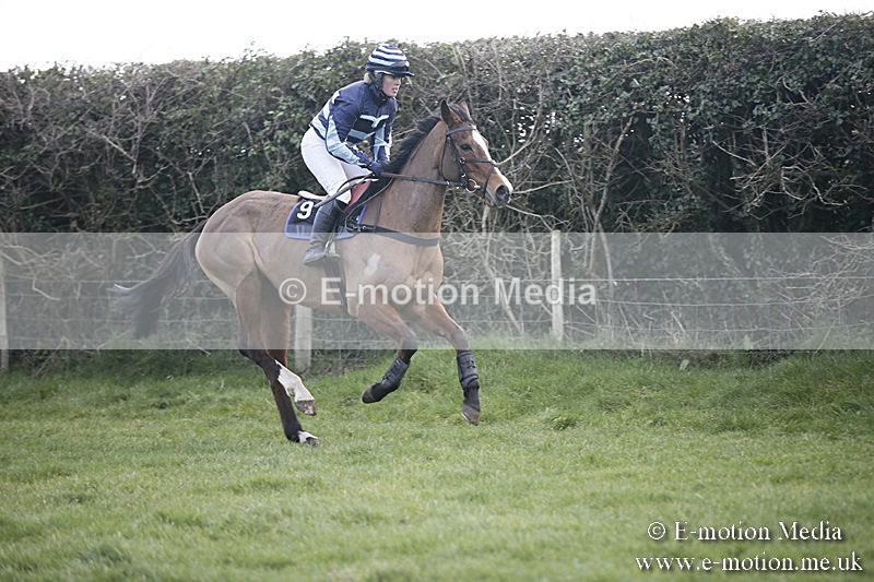 PtP 040218 365 - Point-to-Point Milborne St Andrew 04/02/18