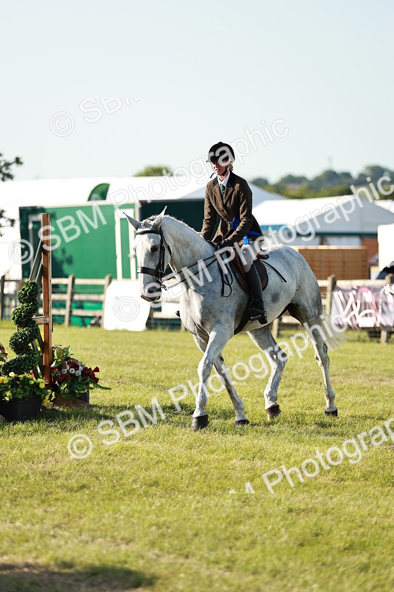 SBM_20097 - Class 115-116 - LIHS BSHA Rising Star Working Hunter & Show Horse