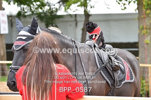 BPP_0587 - RHS 2019 Selection - *Just some random spectator shots so Lucky Dip if you are there!