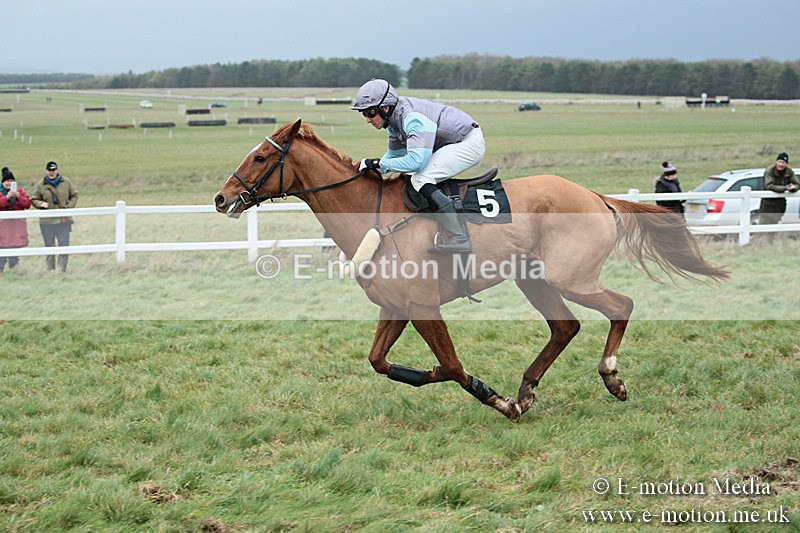 PtP 021218-183 - Hursely Hambledon Hunt Point-to-Point - Larkhill 02/12/18