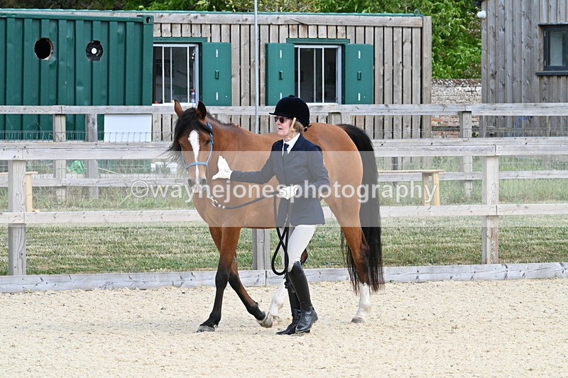 WJ7_7952 - Time 15:39 to 16:08