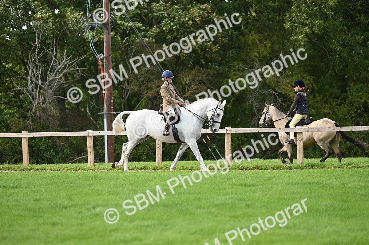 SBM_26397 - S6 - Novice & newcomer Ridden horse