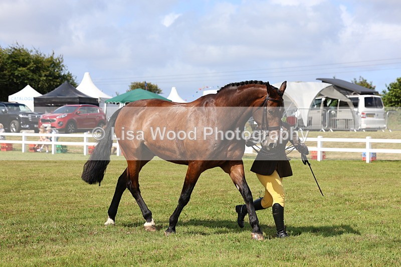 3E7A9543 - Class 4: Rising Star M/H Hunter