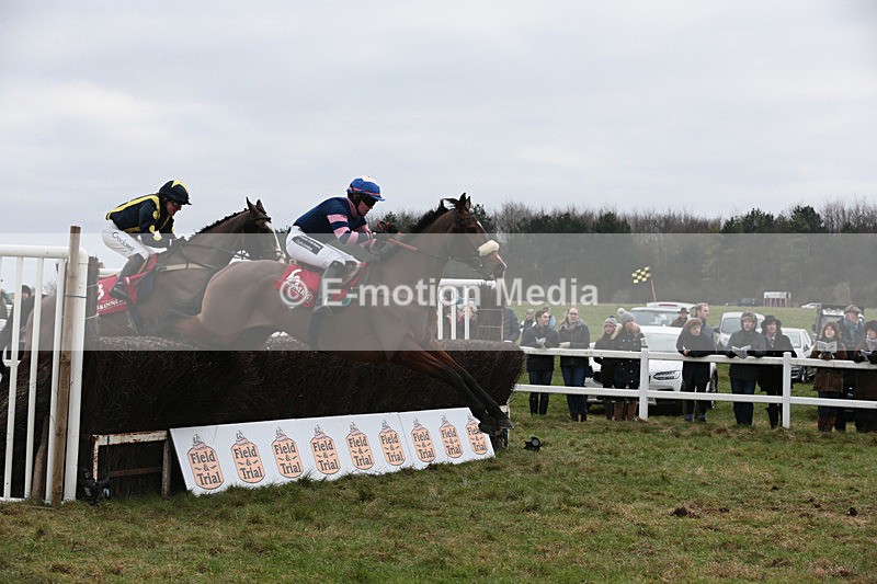 PtP 060119 135 - Larkhill Racing Club - Point-to-Point- 06/01/2019