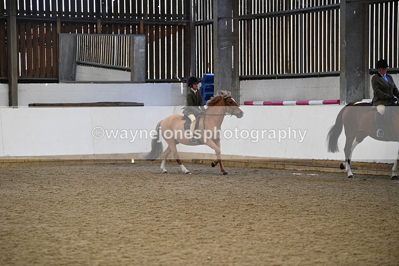 WJ5_6028 - Class 9 Ridden Veteran