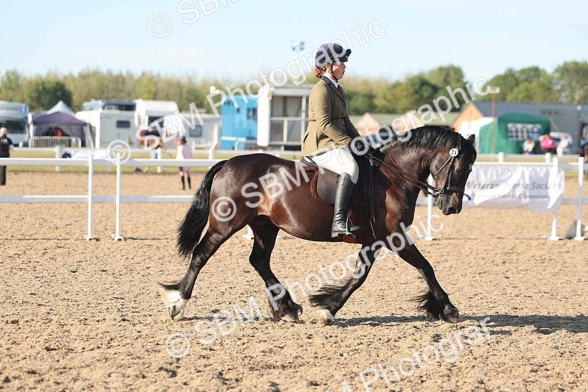 SBM_11009 - Class 302 - Ridden M&M Large Breeds
