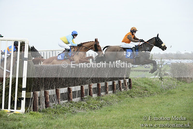 PtP 230319 116 - VWH Hunt Siddington Point-to-Point Racing 23/03/19