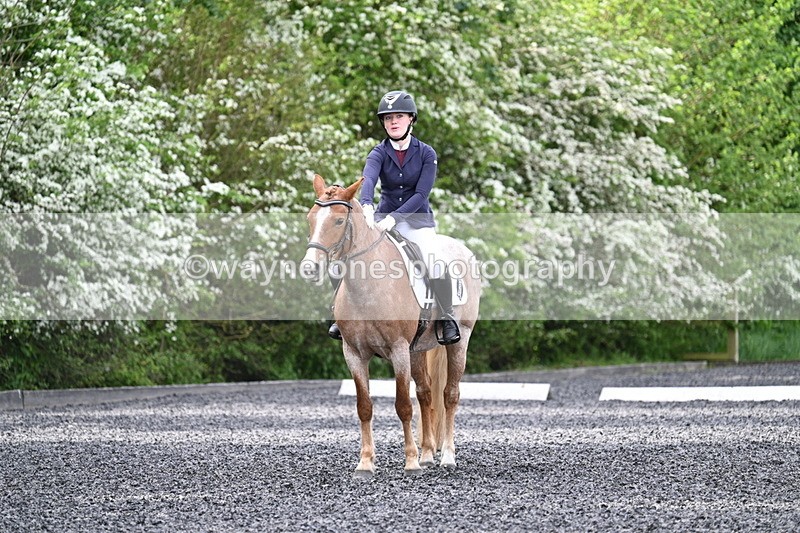 WJ7_8122 - Time 10:11 to 10:27