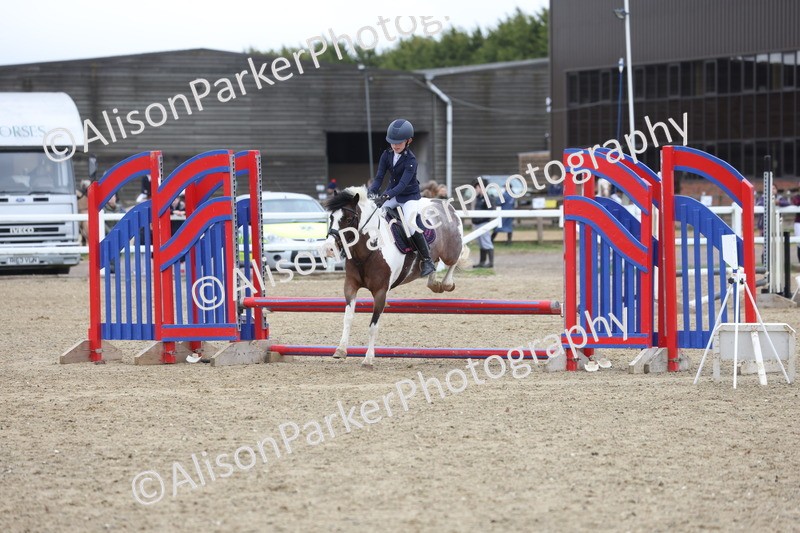 20260403-0687 - Class 3 - 60cm