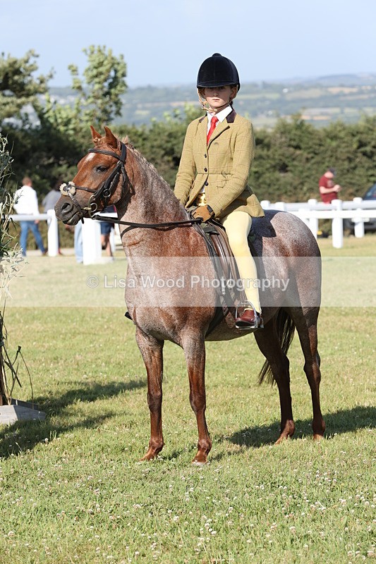 JPP_3034 - Class 20: Working Hunter 70cm