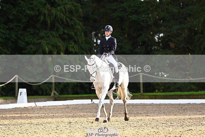 231021-155718-20971 - 262-GOOD.BOY.ALEX-Tara.Jefferies-DR