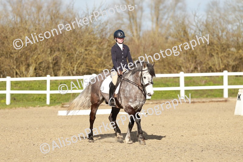 20260314-5401 - DR4 - Prelim 2