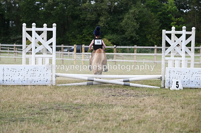 WJ6_8450 - 40cm Time 10:25 to 10:56