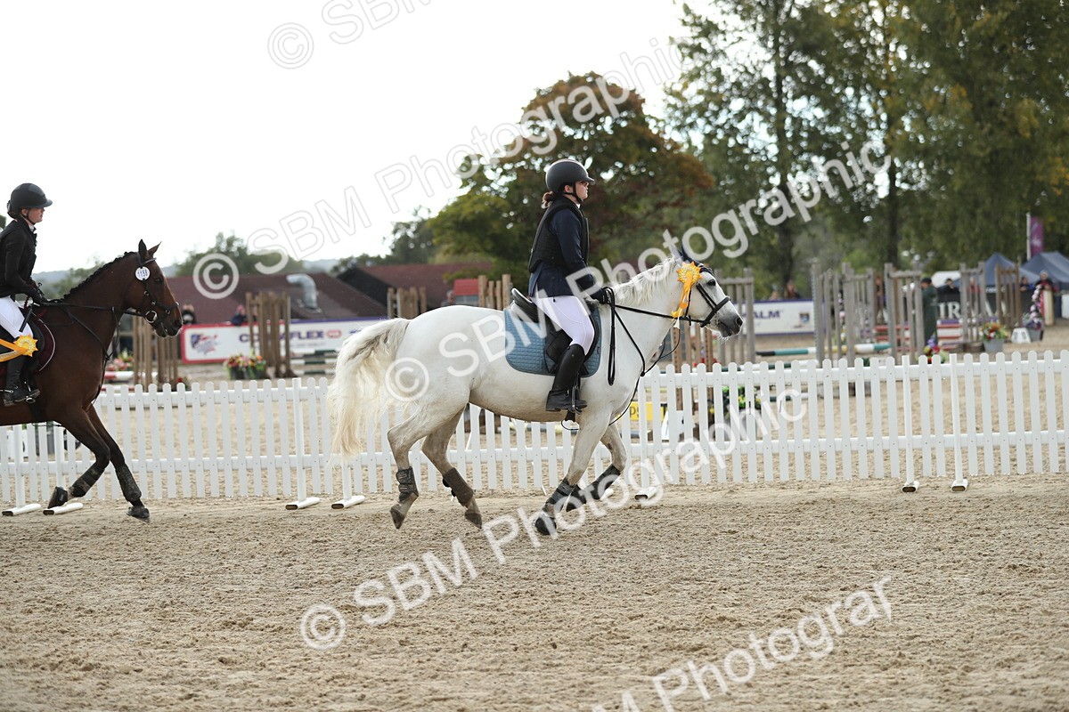 SBM_40528 - J21 - Junior Horse 60cm Championship