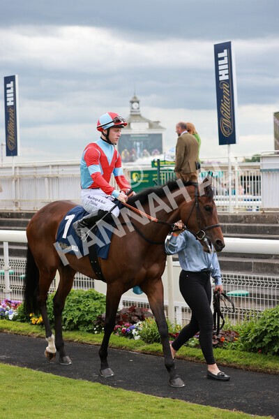 yr21052022r4-7 - Race 4: 3:30pm William Hill Brontë Cup