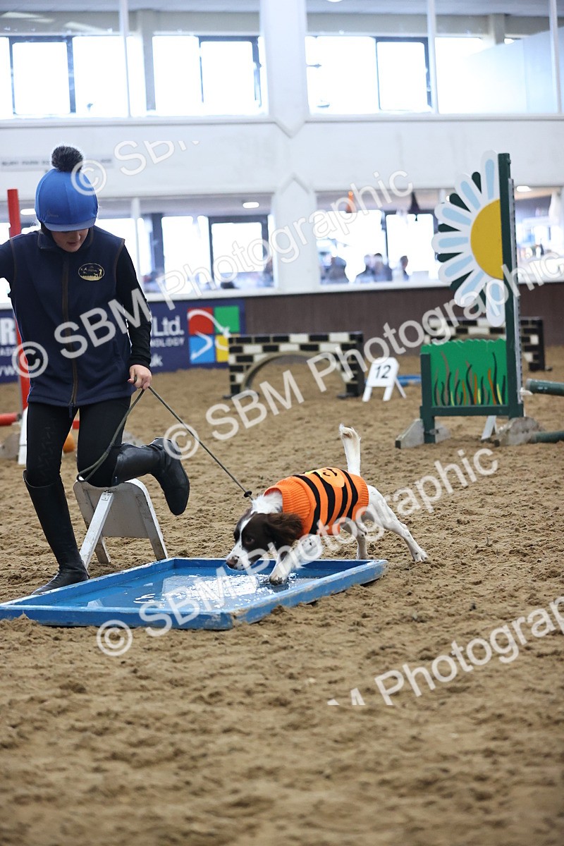 SBM_001212 - Class 3 - Horse & Hound 60cm