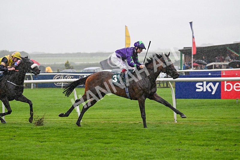 230725-Race 2-Magic Box-9899 - Race 2