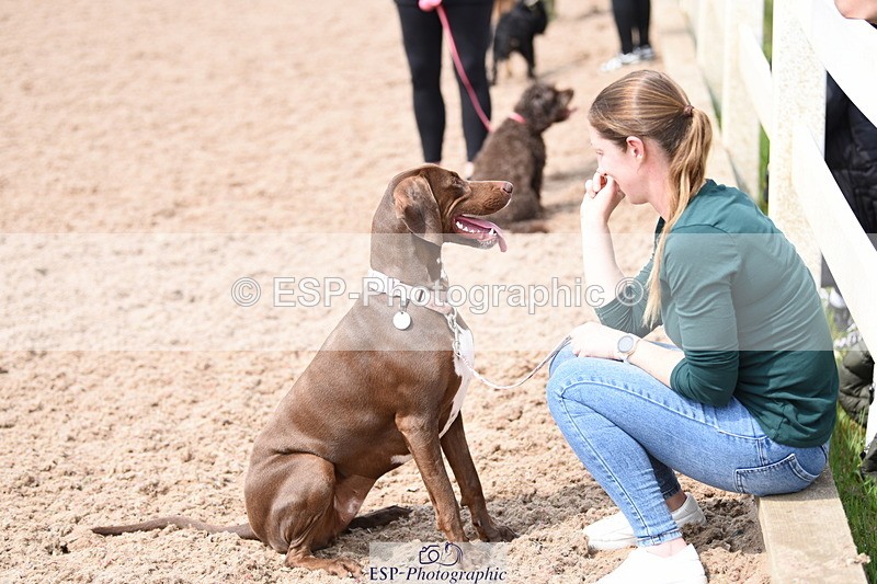 240518A-115136-00842 - Cls 2 Prettist Bitch