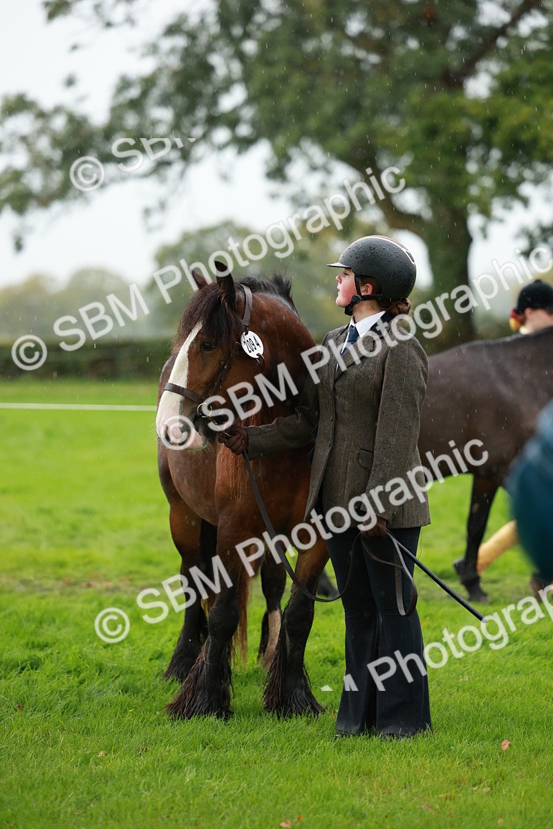 SBM_34889 - S10 - Best In Hand Horse & Pony