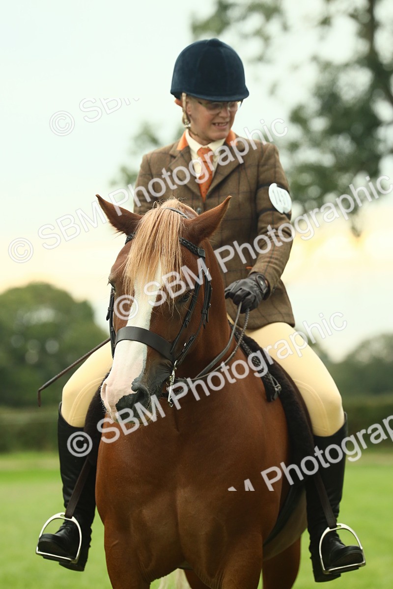 SBM_72271 - S60 - Mountain & Moorland Ridden Large Breeds