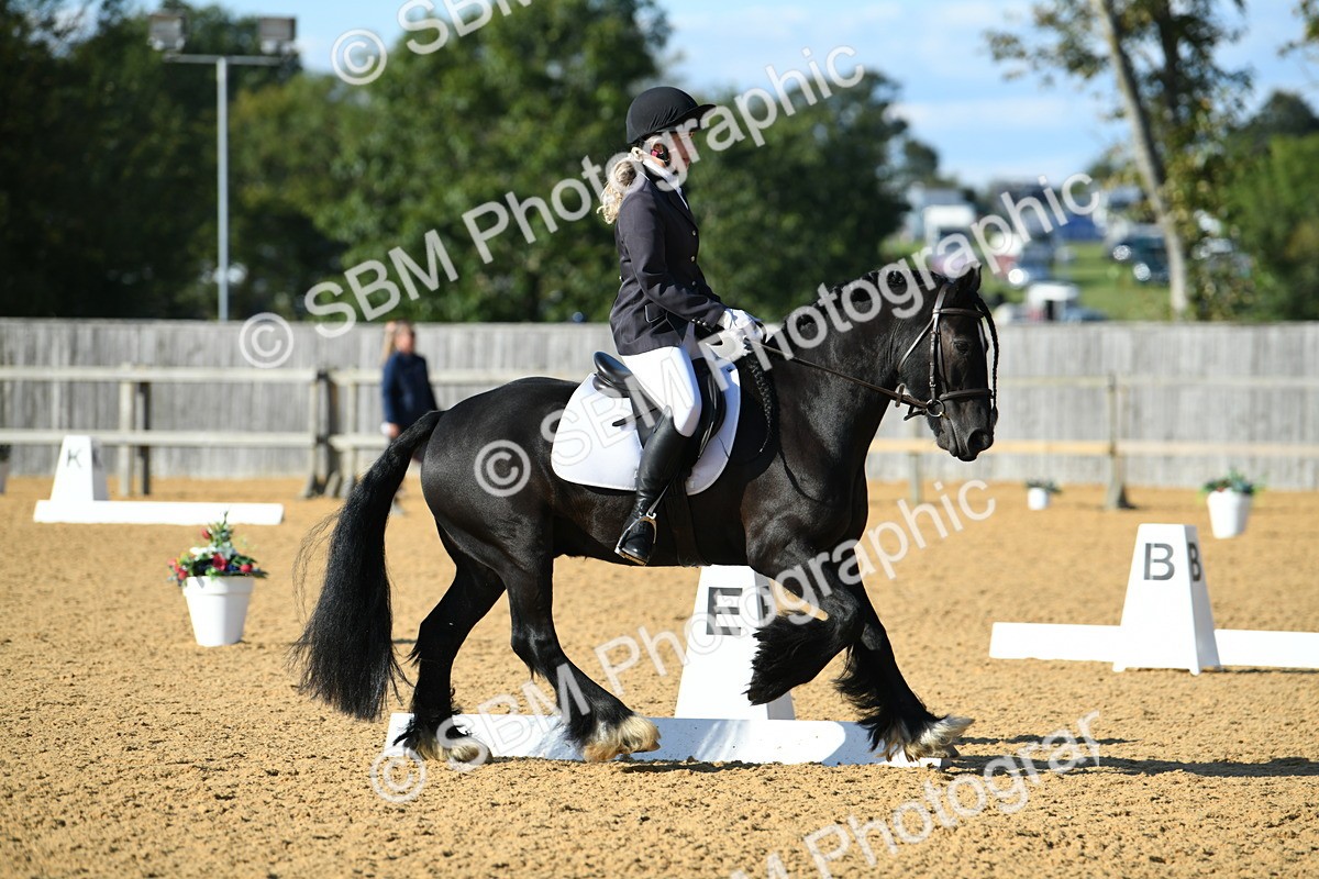 SBM_28457 - D16 - Small Tour Championship - Novice 28