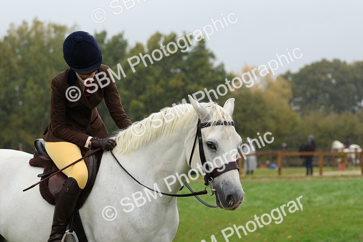 SBM_69735 - S62 - Mountain & Moorland Ridden Large Breeds