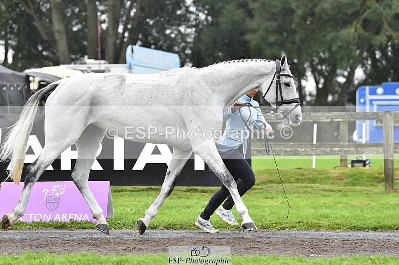 231018-123100-00347 - 042-WKD.COOLEY-Chiara.Grimaldi-TrotUp