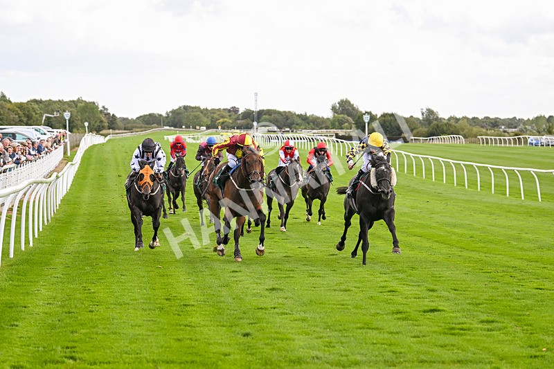 100924-Race 2-Keldeo-0013 - Race 2