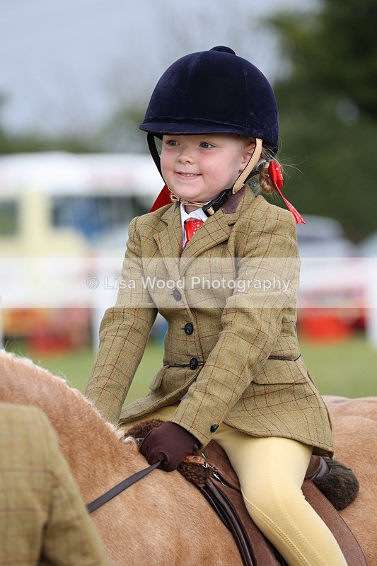 JPP_0355 - Class 14: Cornish Combination Leading Rein