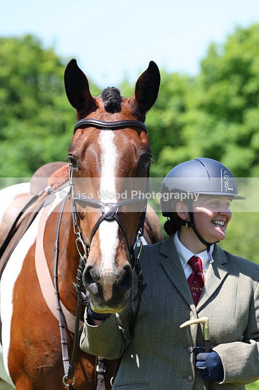 3E7A7364 - Class 30: Novice Working Hunter