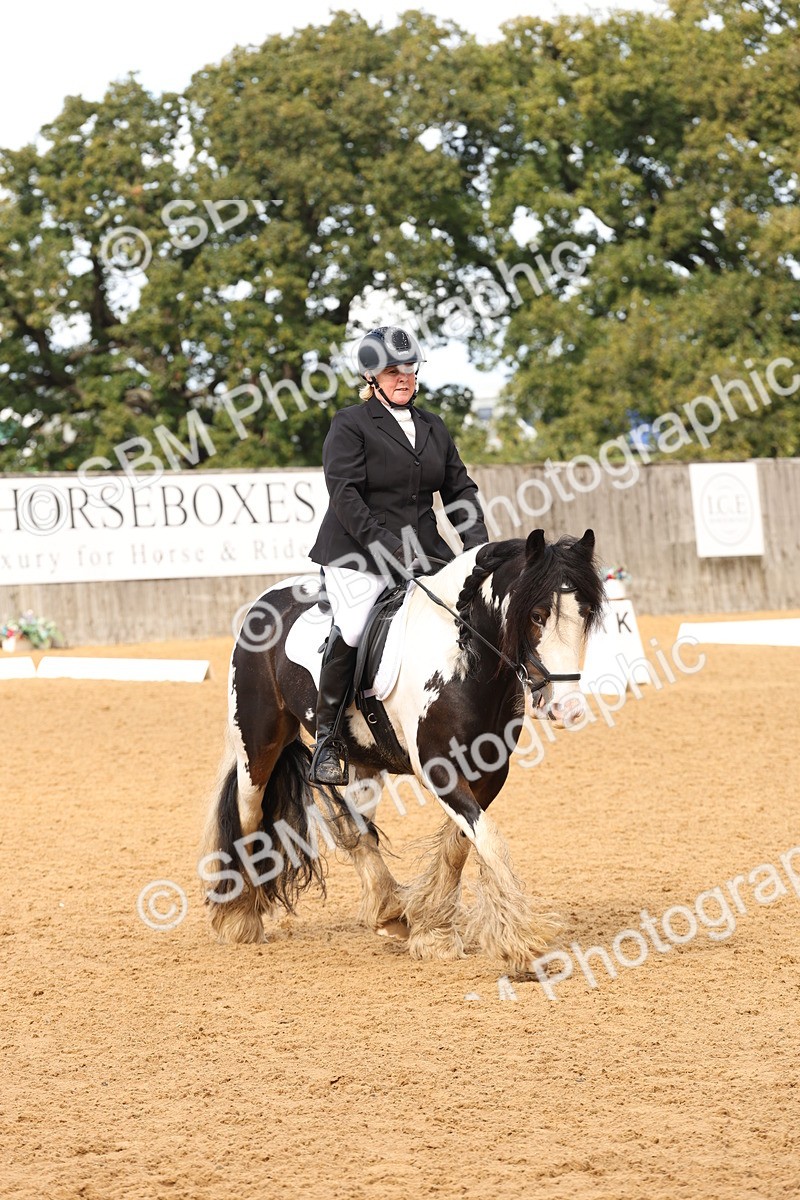 SBM_40689 - D6 - Small Tour Championship Intro 4