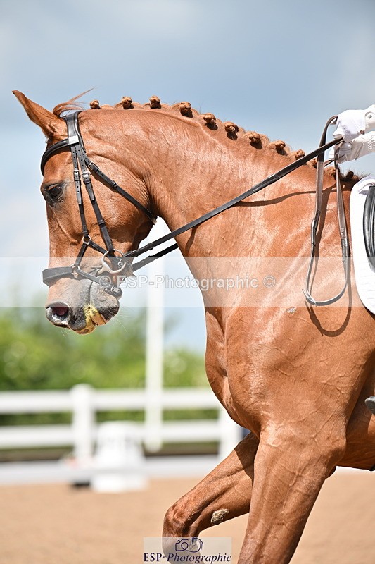 240621A-123725-02183 - Cls 7 BD Elementary 45