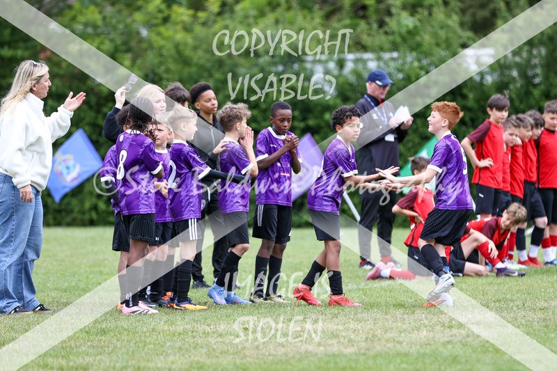 1DX31410 - Brook Field V Goddard Park