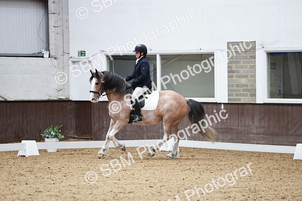 SBM_014230 - Class 7 - Ele FSM Bronze 12.12.13.08