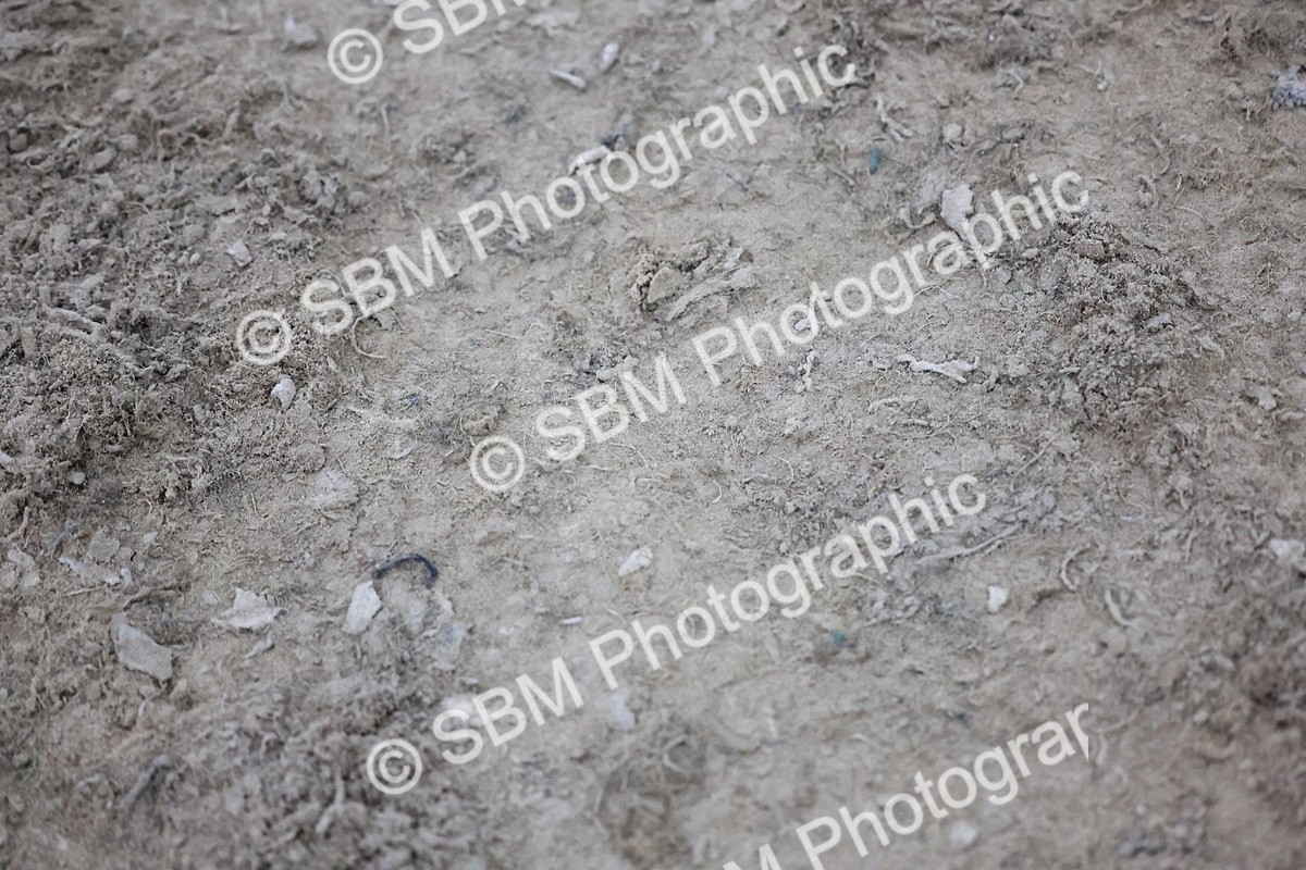 SBM_006103 - Evening Performance