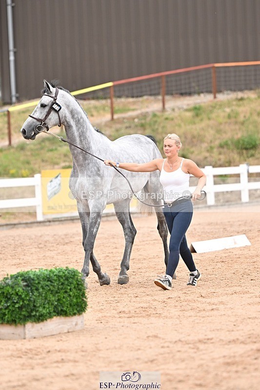 250716-155254-02254 - Trot Up 3.30 to 4.30