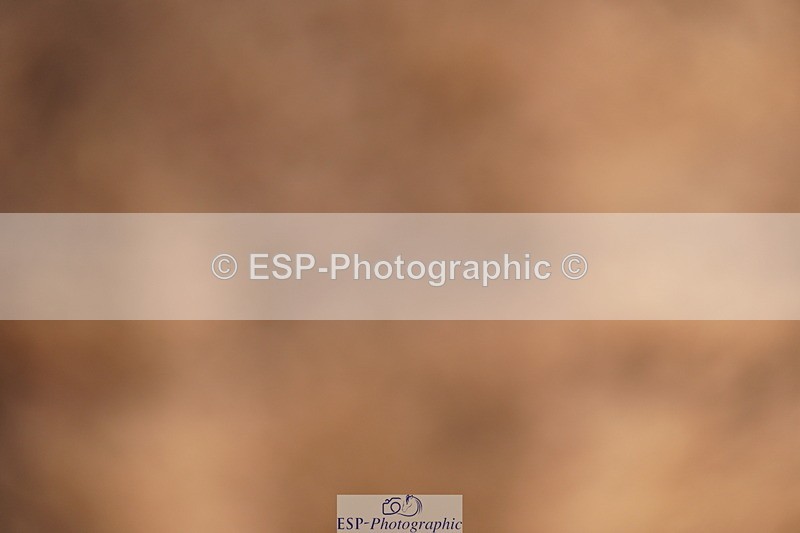 240526A-090818-07002 - Cls 30 Snr 1.20m Open