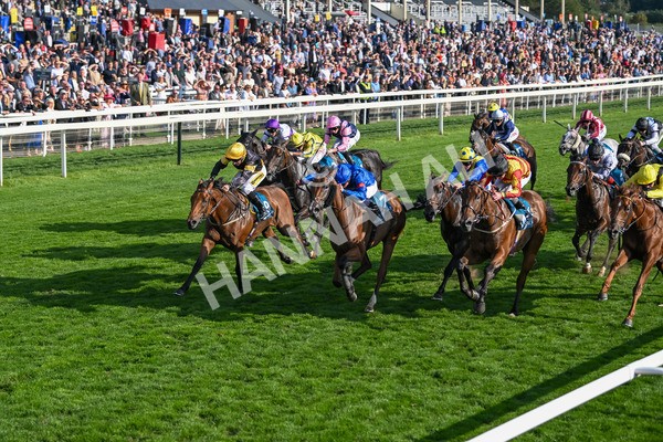 220825-Race 7-Fifth Column-7850 - Race 7 5.20pm Sky Bet Mile Handicap