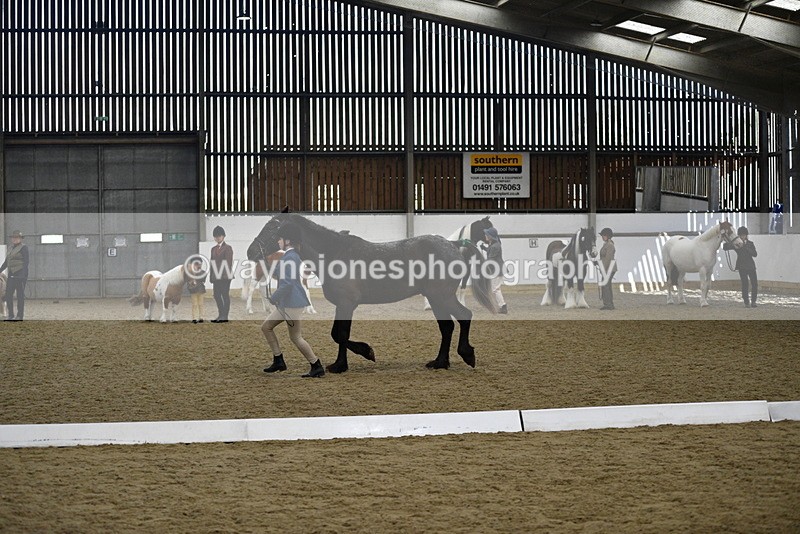 WJ5_4835 - Class 7 In hand coloured / odd coloured