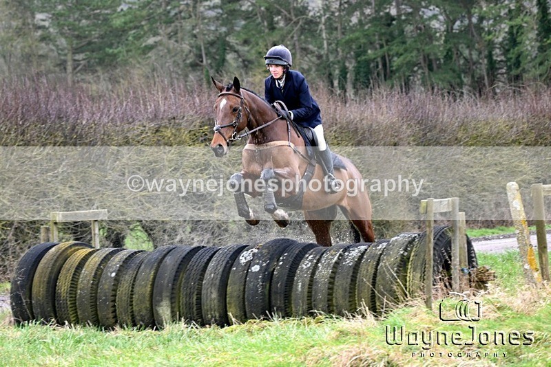 WJ6_8322 - Edited examples