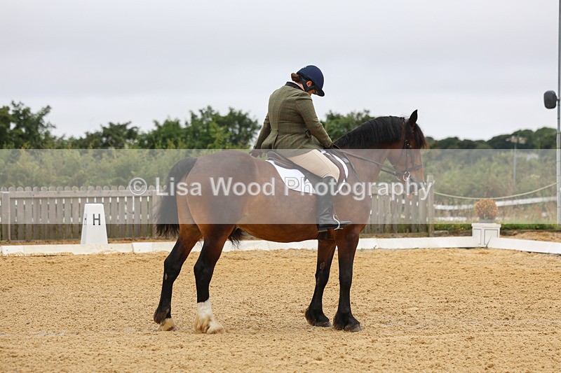 3E7A4599 - Class 1: Intro 4 2024 section A